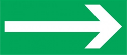 Пиктограмма Указатель выхода для светильника Pelastus PL EML 1.0 (стрелка) 200000154872 - фото 40979