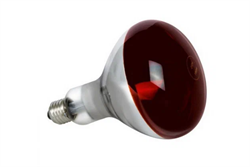 Лампа инфракрасная LightBest ERK R125 100W E27 Red 700109007 - фото 41148