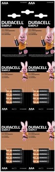 Батарейки Duracell Simply LR03 ААА мизинчиковые 16BL HDBC (блистер отрывной 4x4 16шт) 5000394130241-1 - фото 41390