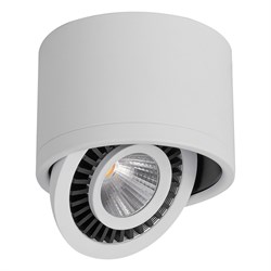 Светильник накладной светодиодный для акцентного освещения, спот поворотный (ДПО) FERON AL523, 10W, 32701-1 - фото 76780
