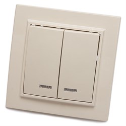 Выключатель двухклавишный STEKKER PSW10-9002-02, серия Эрна тип установки - скрытый, размер изделия 39229 - фото 77501