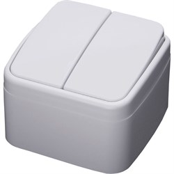 Выключатель двухклавишный STEKKER PSW10-42-20, серия Basic тип установки - открытой установки, разме 39032 - фото 78823