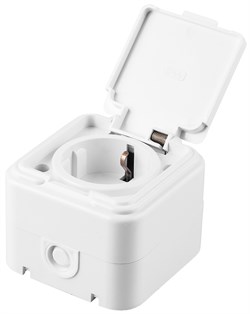 Розетка открытой установки STEKKER PST16-21-44 (расстояние между монтажными отверстиями: по гориз. - 32740 - фото 79001