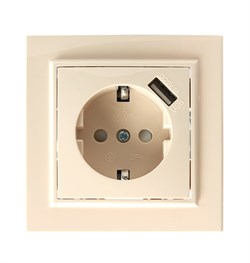 Розетка скрытой установки STEKKER PST16-9011-02 на 1+USB гнездо, с заземлением. Материал: ABS пласти 39237 - фото 79021