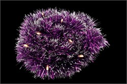 Гирлянда 220V,  20LED, теплый белый цвет свечения, 2м, IP20, CL80 26889 - фото 79595