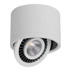 Светильник светодиодный 15W, 1350Lm, 4000К, 24 градуса, белый, поворотный, AL523 32702 - фото 79834