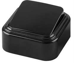 Выключатель одноклавишный открытой установки, 250В, 6А, IP20, черный, PSW06-21-20 (VA 16-131-Ч) 32743 - фото 82204