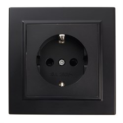 Розетка 1-местная с/з 250В, 16А  с защитной шторкой, серия Эрна, PST16-9010-03, черный 39479 - фото 82533