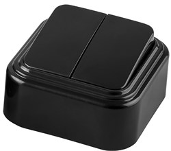 Выключатель двухклавишный открытой установки, 250В, 6А, IP20, черный, PSW06-22-20  (VA 56-232-Ч) 32745 - фото 85420