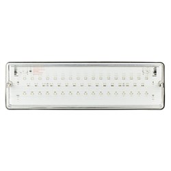 Pelastus   PL EML 2.0 с функцией УДТУ (Устройство дистанционного тестирования и управления) Аварийный светильник светодиодный, универсальный. Постоянный/непостоянный режим работы. IP65, 345*106*76 мм PL EML 2.0 с УДТУ - фото 87405