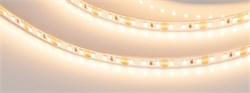 Светодиодная лента RT-A120-8mm 12V Warm2700 (14.4 W/m, IP20, 2835, 5m) (Arlight, Открытый) 024341(2) - фото 88444