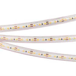 Лента RTW 2-5000PS 12V Warm2700 2x (3528, 600 LED, LUX) (Arlight, 9.6 Вт/м, IP67) 028547 - фото 89928