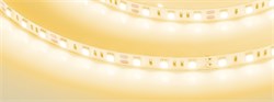 Лента RT-B60-10mm 12V Yellow (14.4 W/m, IP20, 5060, 5m) (Arlight, Открытый) 012342(2) - фото 90031