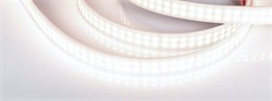 Лента RTW 2-5000PW 24V White6000 2x2 (3528, 1200 LED, LUX) (Arlight, 19.2 Вт/м, IP66) 018998-1 - фото 90142