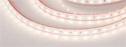 Лента RTW 2-5000PS 24V Day4000 2x (5060, 300 LED, LUX) (Arlight, 14.4 Вт/м, IP67) 021398 - фото 90214