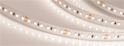 Светодиодная лента IC2-20000 24V Day4000 2x 12mm (2835, 120 LED/m, Long) (Arlight, 9.6 Вт/м, IP20) 024591(2) - фото 91273