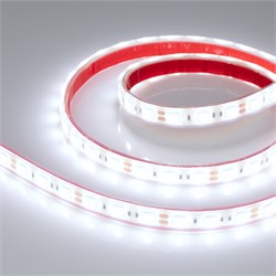 Лента RTW 2-5000PGS 12V Cool 2x (5060, 300 LED, LUX) (Arlight, 14.4 Вт/м, IP67) 016844-1 - фото 91566