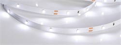 Лента RT 2-5000 24V White6000 0.5x (3528, 150 LED, LUX) (Arlight, 2.9 Вт/м, IP20) 019917(B) - фото 91988