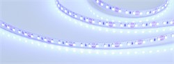 Лента RT 2-5000 12V Blue 2x (3528, 600 LED, LUX) (Arlight, 9.6 Вт/м, IP20) 012330(1) - фото 92274