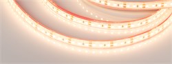 Лента RTW 2-5000PGS 12V Warm 2x (3528, 600 LED, LUX) (Arlight, 9.6 Вт/м, IP67) 013528(1) - фото 92304