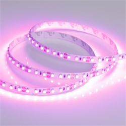 Лента RT 2-5000 12V Pink 2X (3528, 600 LED, LUX) (Arlight, 9.6 Вт/м, IP20) 015897 - фото 94063