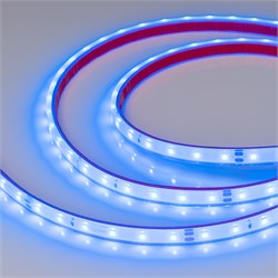 Светодиодная лента герметичная RTW-PFS-A60-11mm 24V Blue (4.8 W/m, IP68, 2835, 5m) (Arlight, 4.8 Вт/м, IP68) 034160 - фото 94889