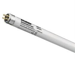 Лампа SYLVANIA    FHO80W/T5/CORALSTAR G5 d26x1454 морские кораллы - 0002751 - фото 9534