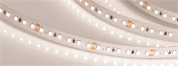 Лента IC2-20000 24V Day4000 2x 12mm (2835, 120 LED/m, Long) (Arlight, 9.6 Вт/м, IP20) 024591 - фото 95752