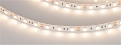 Лента RT-B60-10mm 12V Warm3000 (14.4 W/m, IP20, 5060, 5m) (Arlight, 14.4 Вт/м, IP20) 028583(2) - фото 97819