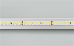 Лента RT 2-5000 24V Day5000 2x (2835, 160 LED/m, LUX) (Arlight, 12 Вт/м, IP20) 024536 - фото 98107