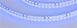 Лента RT-A120-8mm 24V Blue (9.6 W/m, IP20, 5m) (Arlight, 9.6 Вт/м, IP20) 008783(2) - фото 98309