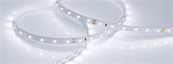 Лента RT 2-5000 24V Cool 8K (3528, 300 LED, LUX) (Arlight, 4.8 Вт/м, IP20) 016147(1) - фото 98520