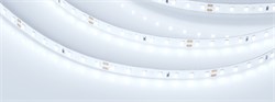 Лента RT 2-5000 24V Cool 8K 1.6x (2835, 490 LED, PRO) (Arlight, 10 Вт/м, IP20) 019912(1) - фото 98650