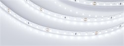 Лента RT-A98-8mm 24V White6000 (10 W/m, IP20, 2835, 5m) (Arlight, Открытый) 019913(2) - фото 99027