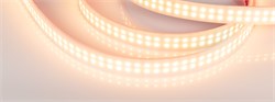 Лента RTW 2-5000PW 24V Warm2700 2x2 (3528, 1200 LED, LUX) (Arlight, 19.2 Вт/м, IP66) 018999 - фото 99785