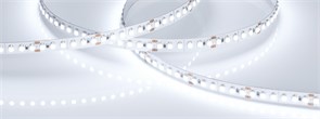 Лента RT-A180-8mm 24V Cool 10K (14.4 W/m, IP20, 3528, 5m) (Arlight, Открытый) 018729(2)