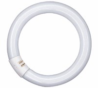 Лампа TL-E CIRCULAR SUPER 80 PRO 22W/ 840 G10q d26xD216 PHILIPS - 33331313165464