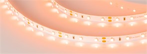 Лента RT-A60-8mm 12V Orange (4.8 W/m, IP20, 2835, 5m) (Arlight, -) 013568(2)