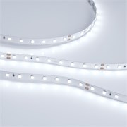 Лента RT 2-5000-50m 24V White6000 (2835, 80 LED/m, LUX) (Arlight, 6 Вт/м, IP20) 024521(1)