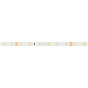 Лента RT-A60-8mm 24V Warm2700 (4.8 W/m, IP20, 2835, 50m) (Arlight, Открытый) 024585(2)