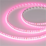 Лента RT-A120-8mm 24V Pink (9.6 W/m, IP20, 2835, 5m) (Arlight, -) 043380