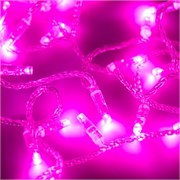 Светодиодная гирлянда ARD-STRING-CLASSIC-10000-CLEAR-100LED-FLASH PINK (230V, 7W) (Ardecoled, IP65) 025792