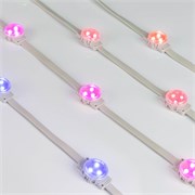 Модуль управляемый DMX-F3-D30 12V RGB (0.75W, IP68, 120 deg) (Arlight, Пластик, 3 года) 036830