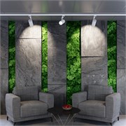 Светильник LGD-ZEUS-TRUECOLOR-4TR-R100-30W Warm3000 CRI98 (BK, 20-60 deg, 230V) (Arlight, IP20 Металл, 3 года) 031429