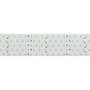 Лента RT 2-2500 24V Warm3000 5x2 (2835, 875 LED, LUX) (Arlight, 36 Вт/м, IP20) 020390