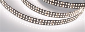 Лента RT-5000-2835-320 24V White6000 (BLACK 15mm, 24W/m, IP20) (Arlight, -) 032606