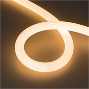 Лента герметичная MOONLIGHT-TOP-FP-X1088-D25mm 24V Warm2700 (20 W/m, IP65, 5m, wire x1) (Arlight, Вывод прямой, 3 года) 038864