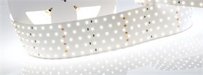 Лента RT 2-2500 24V White6000 5x2 (2835, 875 LED, LUX) (Arlight, 36 Вт/м, IP20) 019082(B)