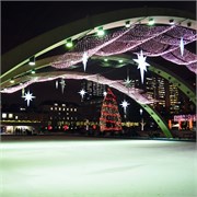 Светодиодная гирлянда ARD-NETLIGHT-CLASSIC-2000x1500-CLEAR-288LED Red (230V, 18W) (Ardecoled, IP65) 024679