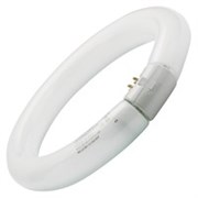 Лампа SYLVANIA FC 22/ 865 C T8 G10q 216mm 6500K - 0001962